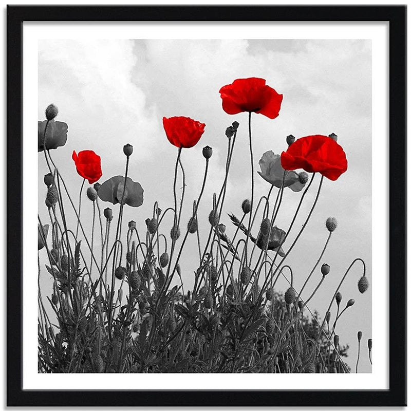 Glezna melnā rāmī - Red Poppy Flowers  Home Trends