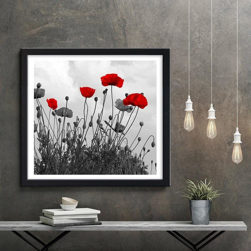 Glezna melnā rāmī - Red Poppy Flowers  Home Trends