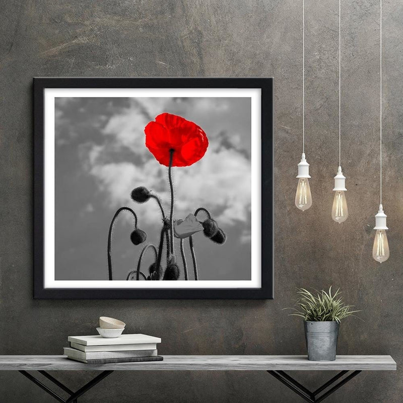 Glezna melnā rāmī - Red Poppy  Home Trends