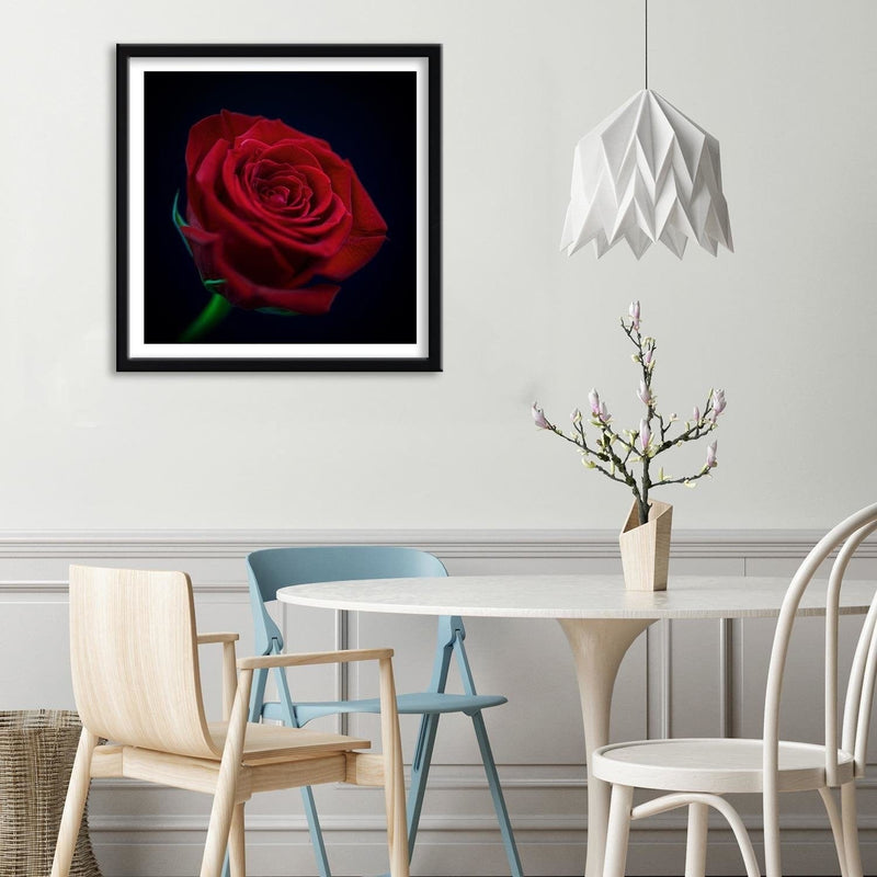 Glezna melnā rāmī - Red Rose In The Dark  Home Trends