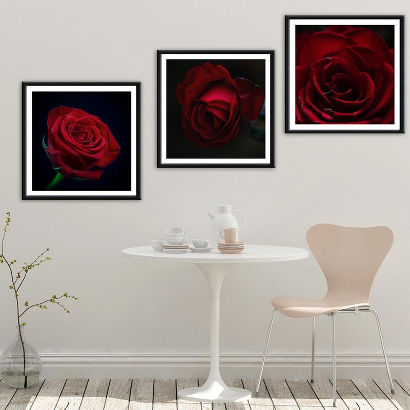 Glezna melnā rāmī - Red Rose In The Dark  Home Trends