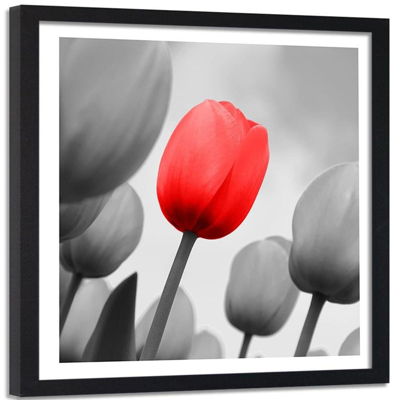 Glezna melnā rāmī - Red Tulip In Gray  Home Trends