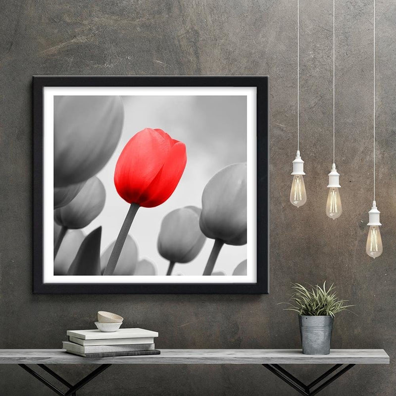 Glezna melnā rāmī - Red Tulip In Gray  Home Trends