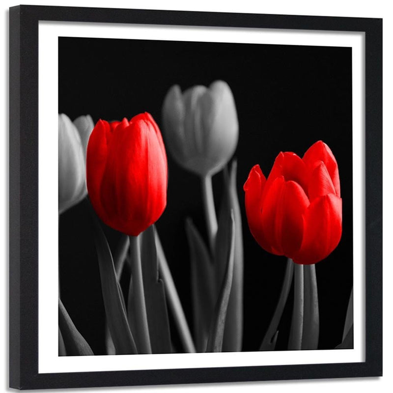 Glezna melnā rāmī - Red Tulips  Home Trends