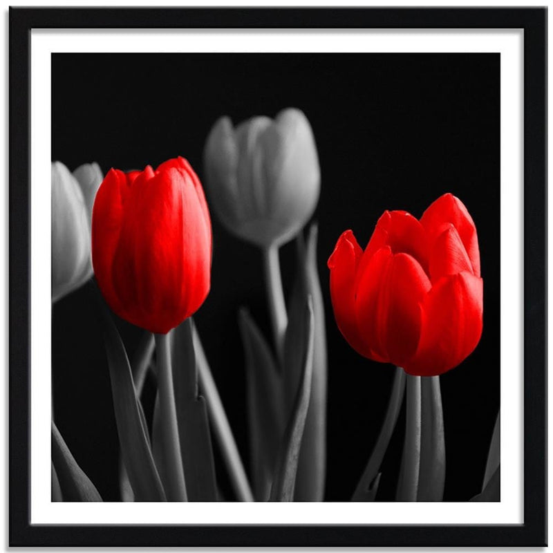 Glezna melnā rāmī - Red Tulips  Home Trends