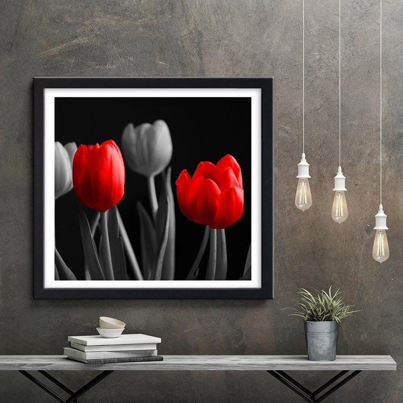 Glezna melnā rāmī - Red Tulips  Home Trends