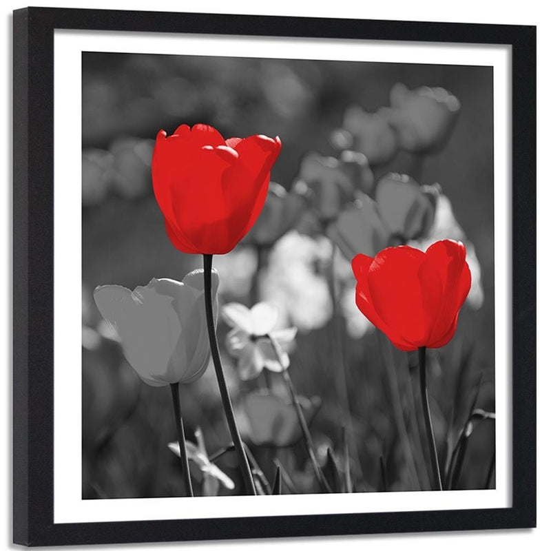 Glezna melnā rāmī - Red Tulips In Gray  Home Trends