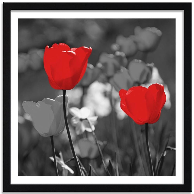 Glezna melnā rāmī - Red Tulips In Gray  Home Trends