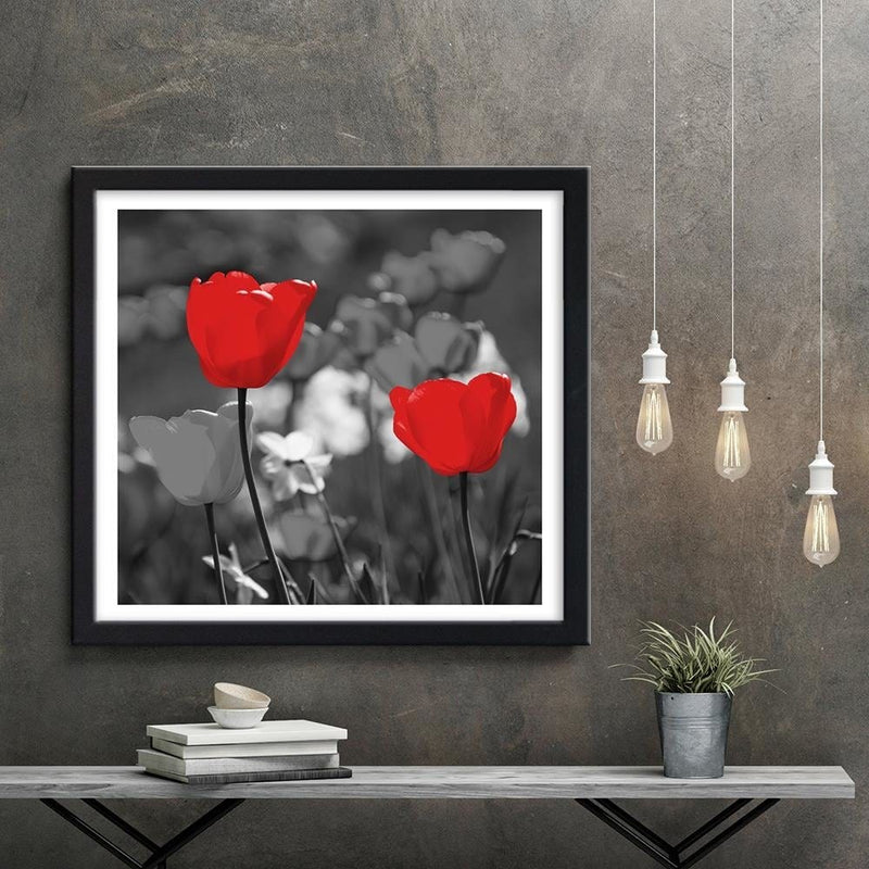 Glezna melnā rāmī - Red Tulips In Gray  Home Trends