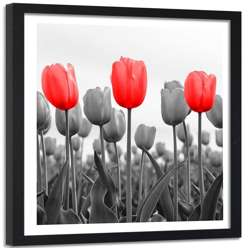 Glezna melnā rāmī - Red Tulips On The Meadow  Home Trends