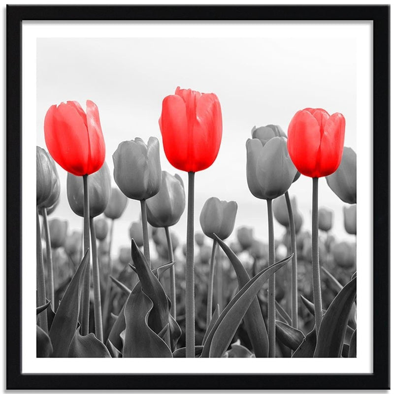 Glezna melnā rāmī - Red Tulips On The Meadow  Home Trends