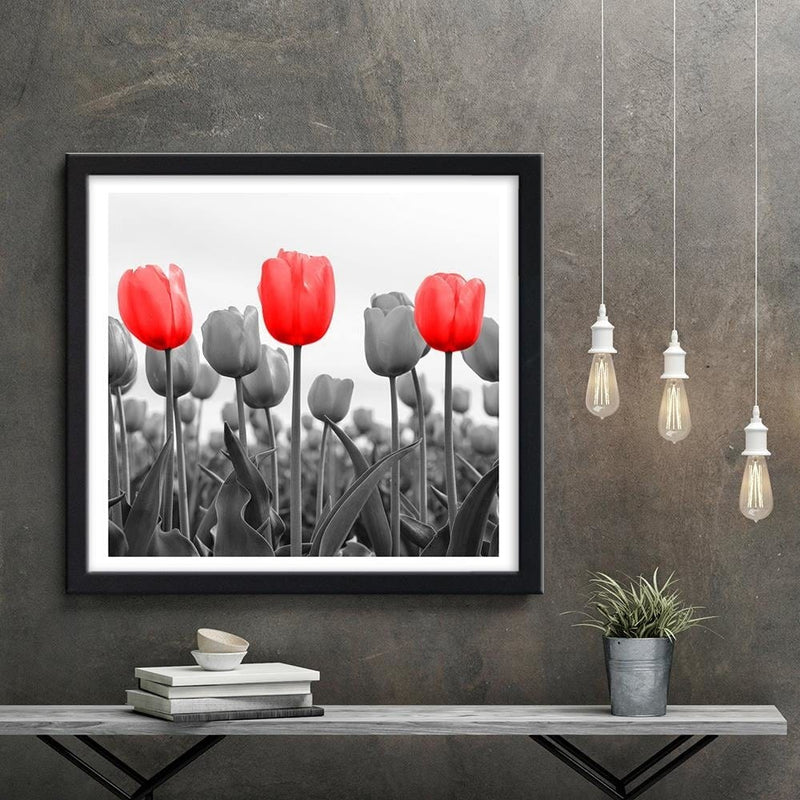 Glezna melnā rāmī - Red Tulips On The Meadow  Home Trends