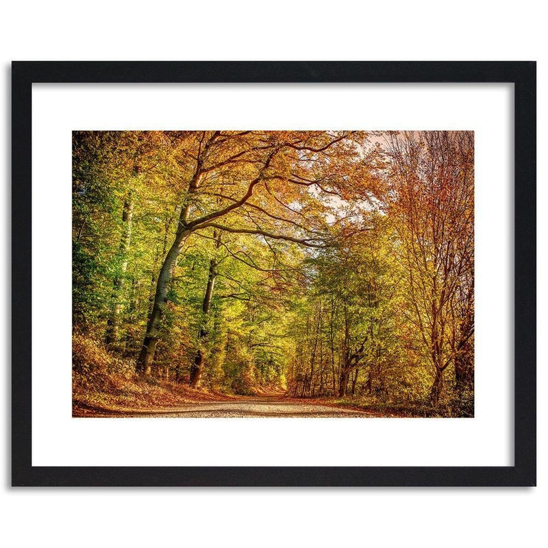 Glezna melnā rāmī - Road In The Autumn Forest  Home Trends