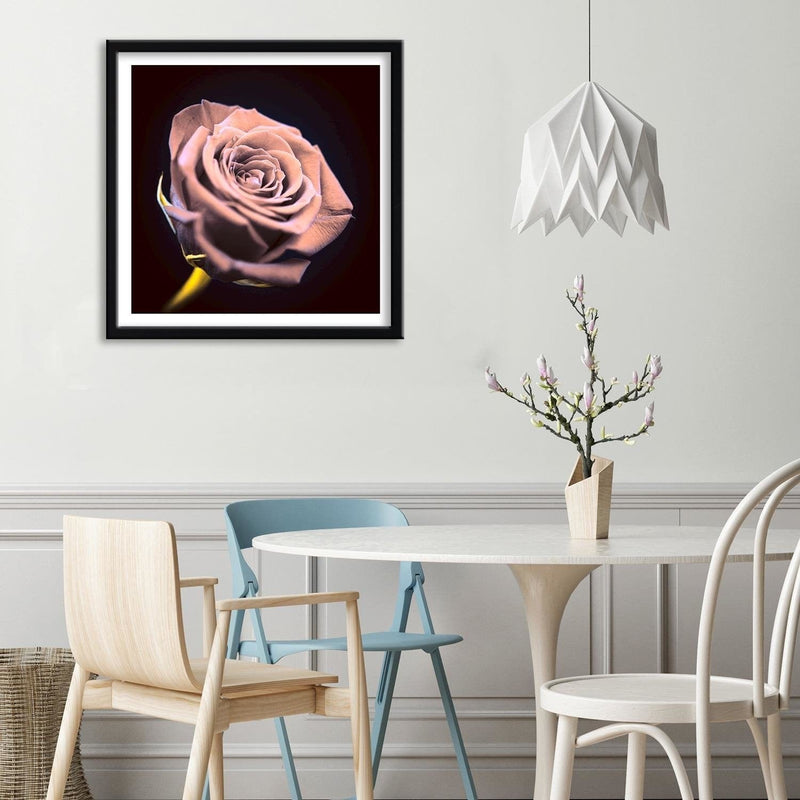 Glezna melnā rāmī - Rose In The Dark  Home Trends