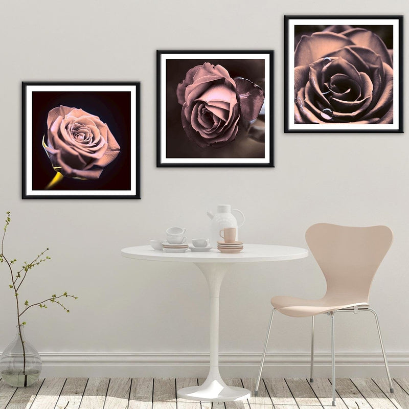 Glezna melnā rāmī - Rose In The Dark  Home Trends