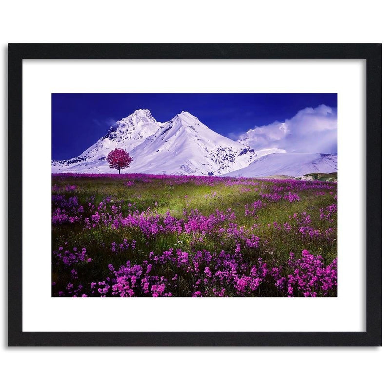 Glezna melnā rāmī - Snowy Mountains And Colorful Meadow 4  Home Trends