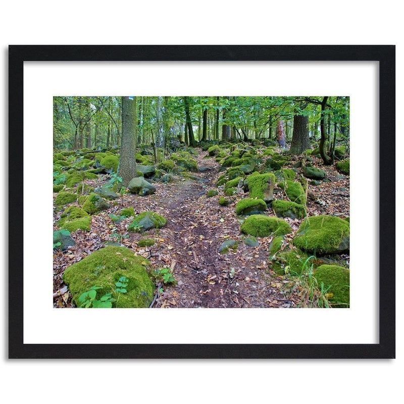 Glezna melnā rāmī - Stones Covered With Moss  Home Trends