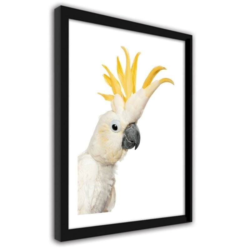 Glezna melnā rāmī - Sulphur-crested cockatoos  Home Trends