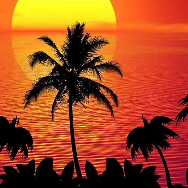 Glezna melnā rāmī - Sunset And Palm Trees 2  Home Trends