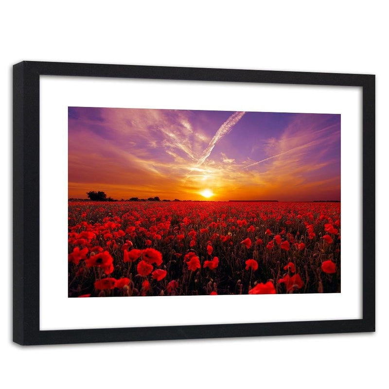 Glezna melnā rāmī - Sunset Over A Field Poppy 3  Home Trends