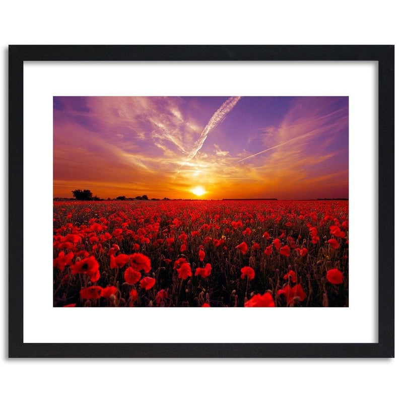 Glezna melnā rāmī - Sunset Over A Field Poppy 3  Home Trends