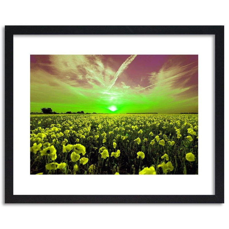 Glezna melnā rāmī - Sunset Over A Field Poppy 4  Home Trends