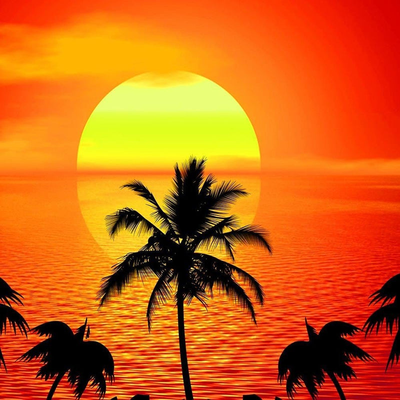 Glezna melnā rāmī - Sunset With Palm Trees 4  Home Trends