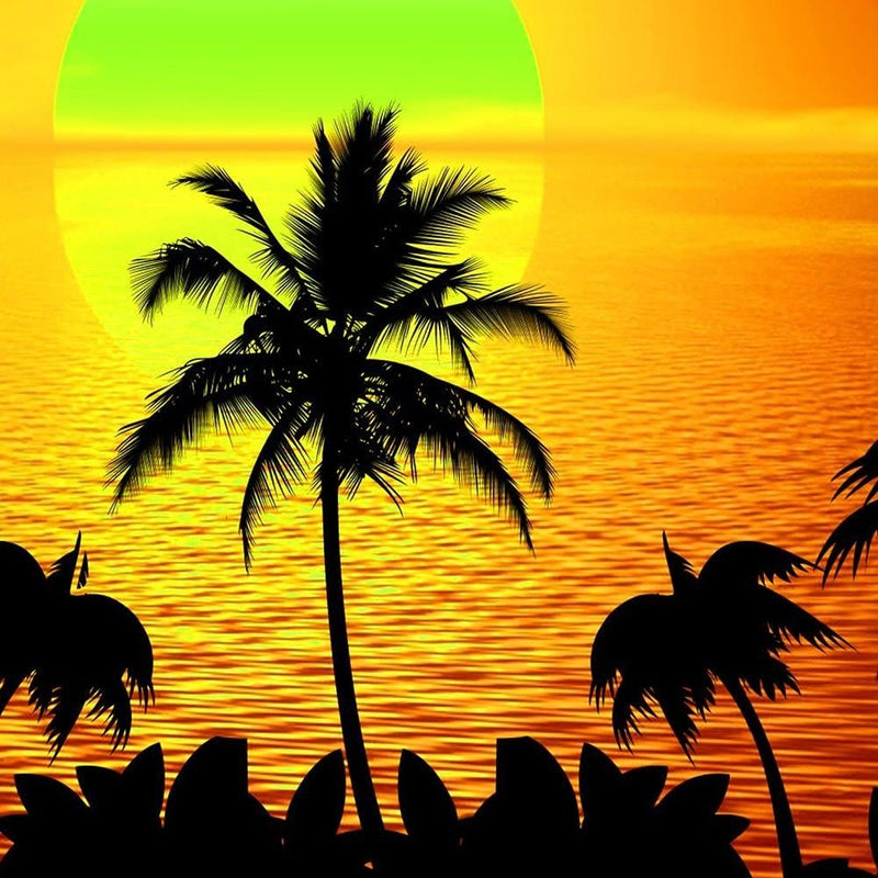 Glezna melnā rāmī - Sunset With Palm Trees  Home Trends