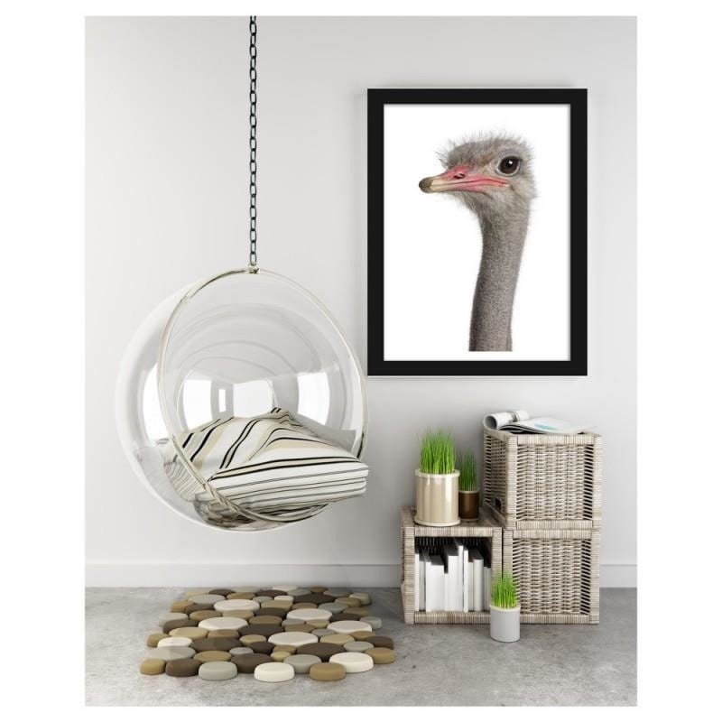 Glezna melnā rāmī - The ostrich head  Home Trends