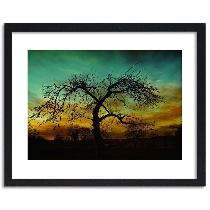 Glezna melnā rāmī - Tree At Dusk  Home Trends