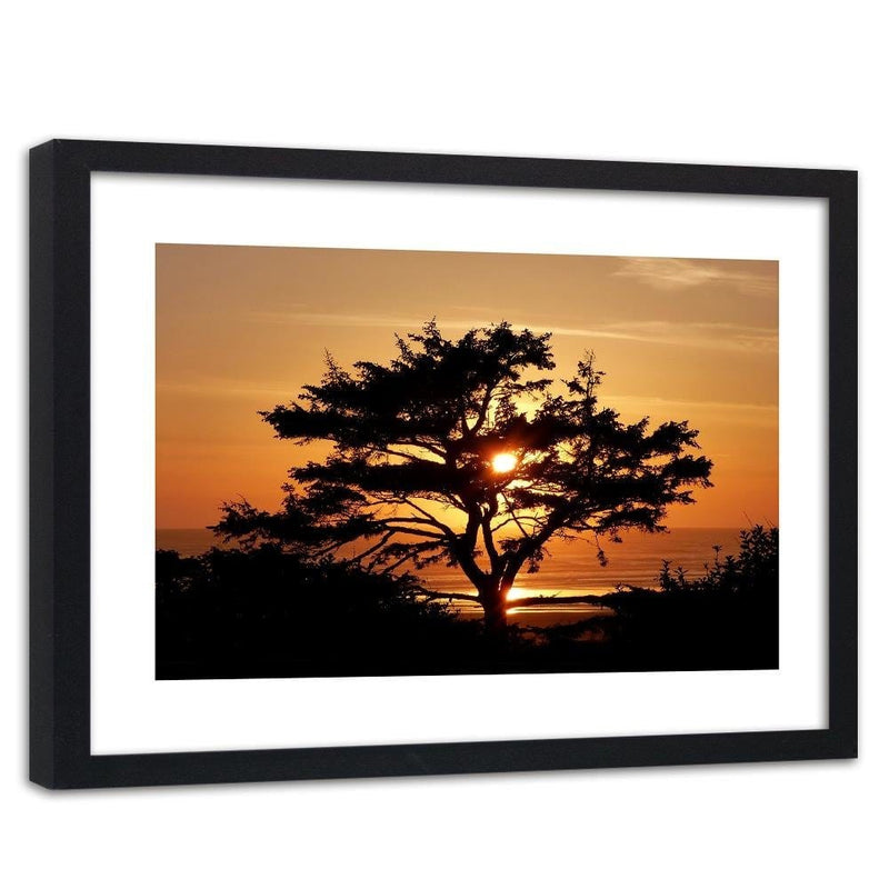 Glezna melnā rāmī - Tree By The Sea At Sunset  Home Trends