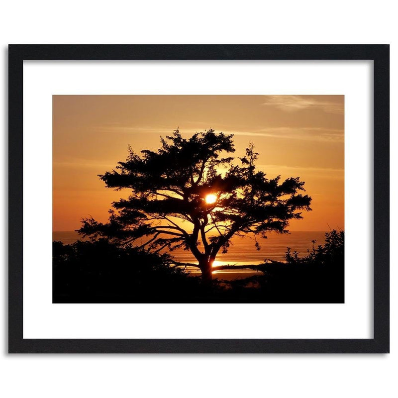 Glezna melnā rāmī - Tree By The Sea At Sunset  Home Trends