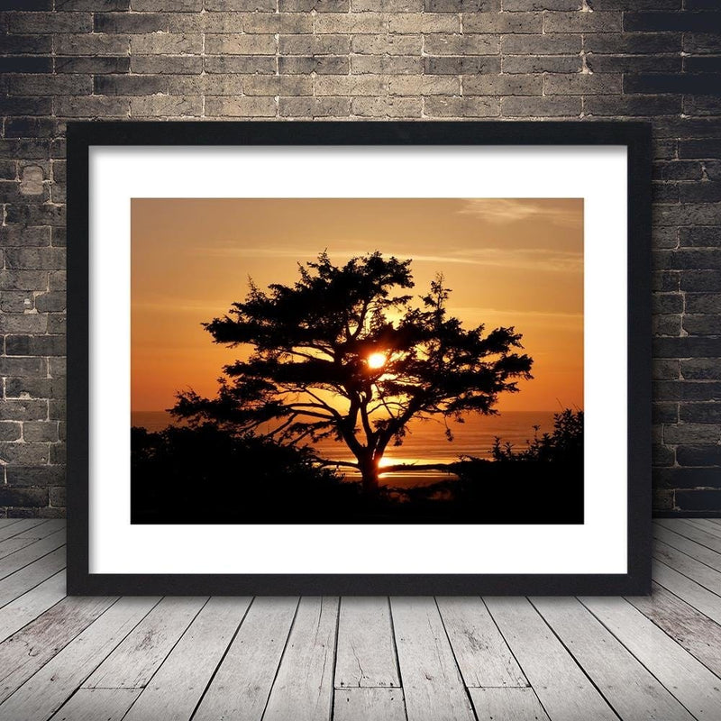 Glezna melnā rāmī - Tree By The Sea At Sunset  Home Trends