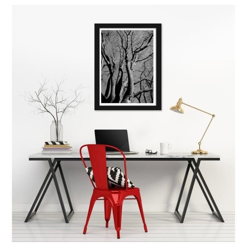 Glezna melnā rāmī - Tree crown in black and white  Home Trends