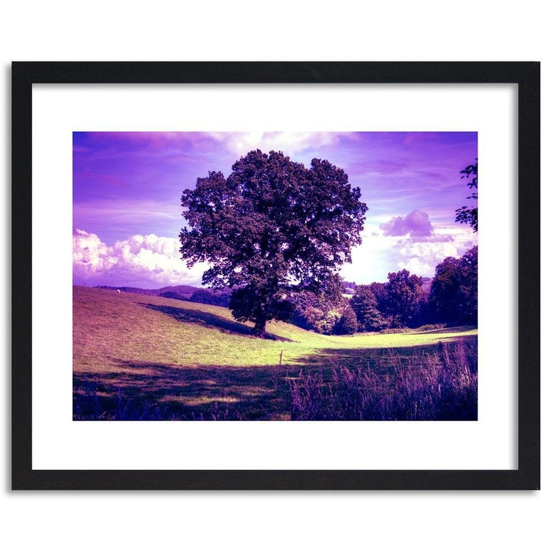 Glezna melnā rāmī - Tree In Violet  Home Trends