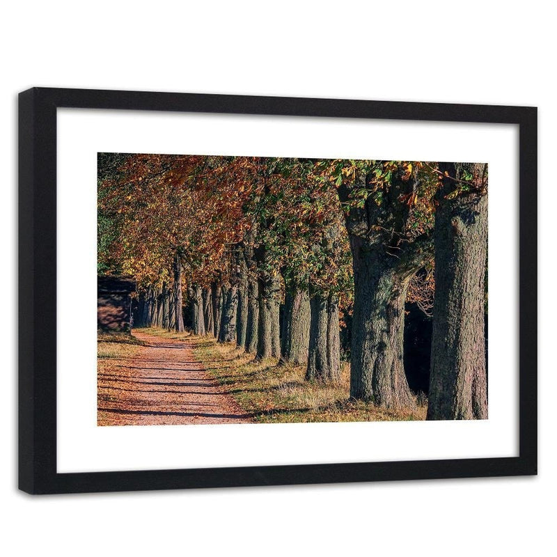 Glezna melnā rāmī - Trees In The Park In Autumn  Home Trends