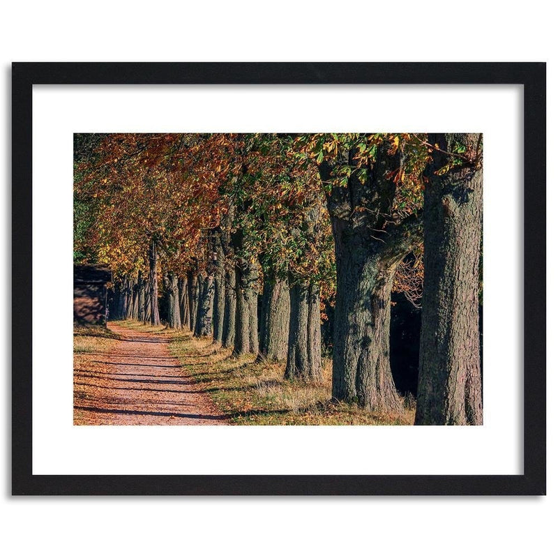 Glezna melnā rāmī - Trees In The Park In Autumn  Home Trends