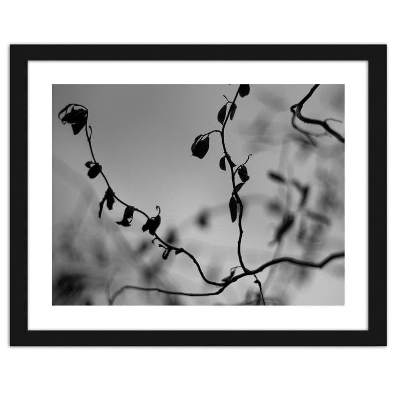 Glezna melnā rāmī - Twig on grey background 2  Home Trends