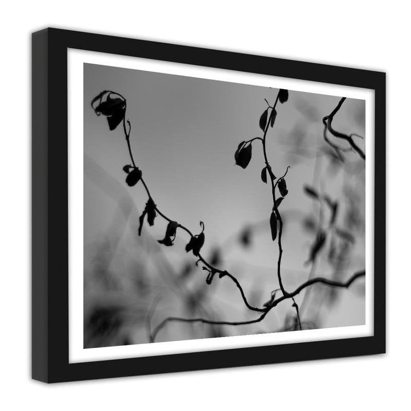 Glezna melnā rāmī - Twig on grey background 2  Home Trends