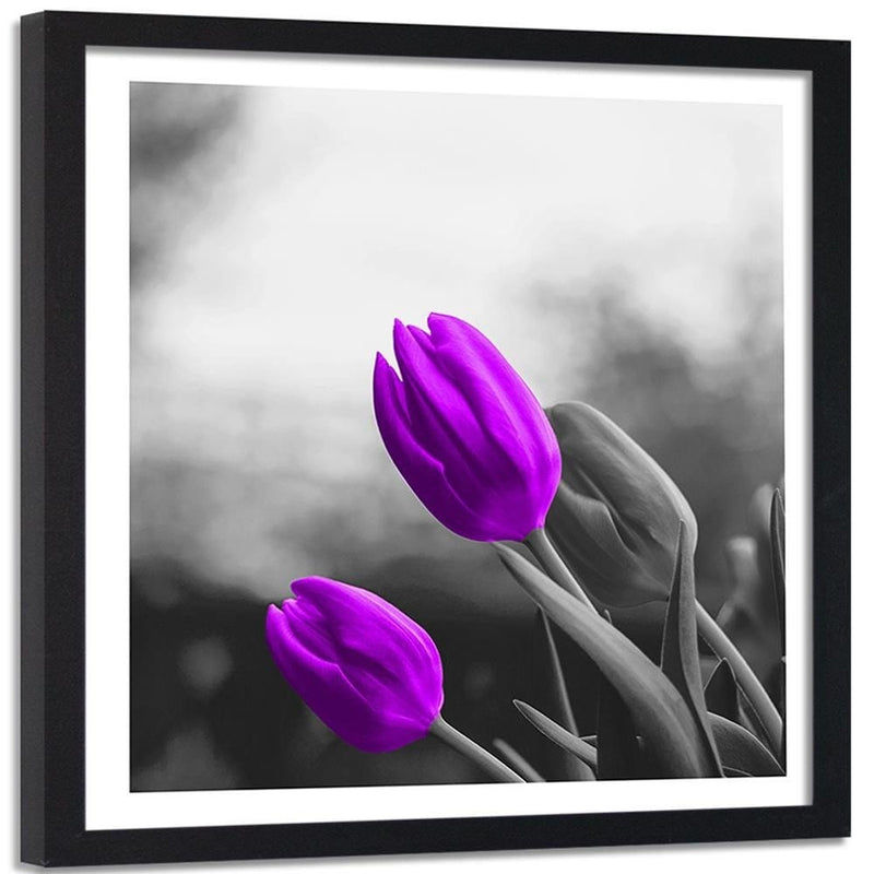 Glezna melnā rāmī - Two Purple Tulips  Home Trends