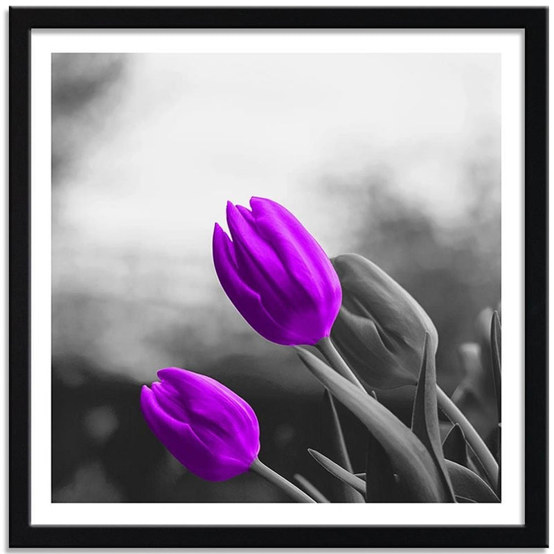 Glezna melnā rāmī - Two Purple Tulips  Home Trends