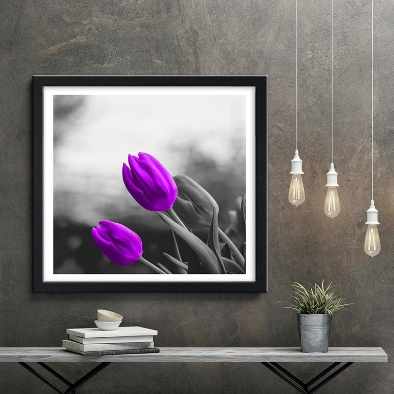 Glezna melnā rāmī - Two Purple Tulips  Home Trends