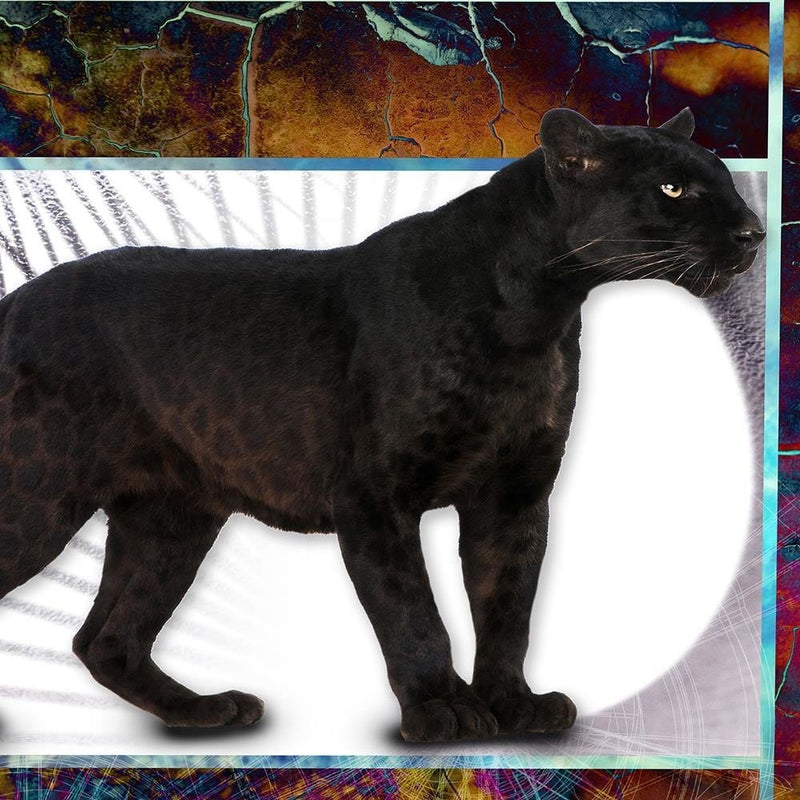 Glezna melnā rāmī - Vigilant Panther  Home Trends