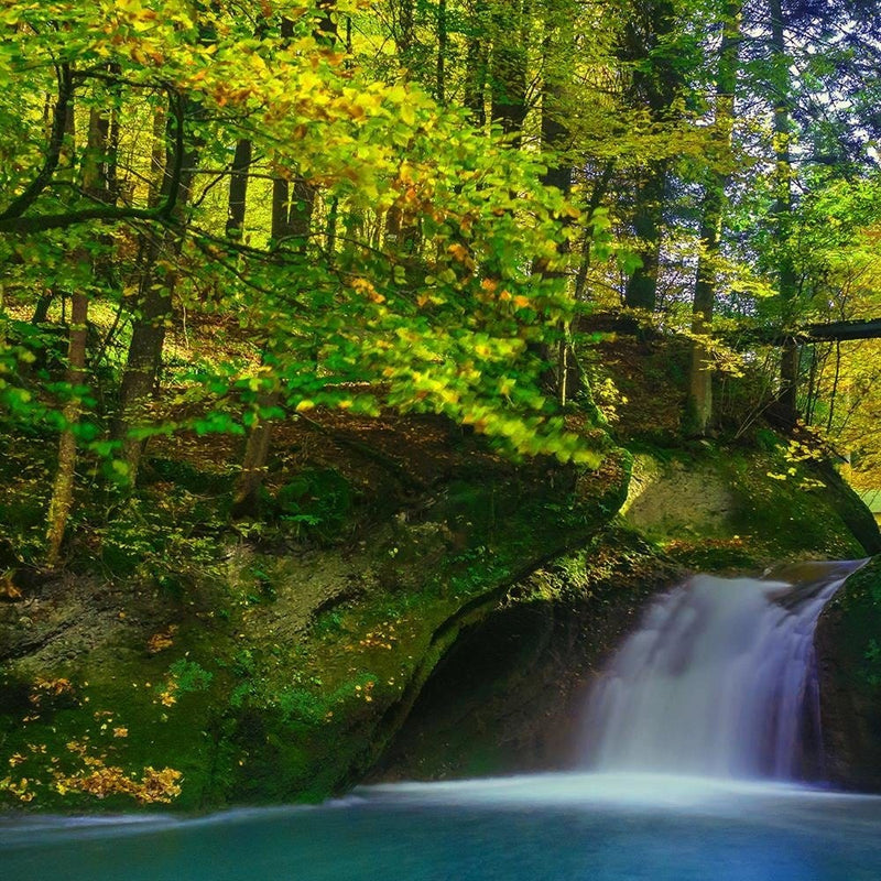 Glezna melnā rāmī - Waterfall And Autumn Trees 4  Home Trends