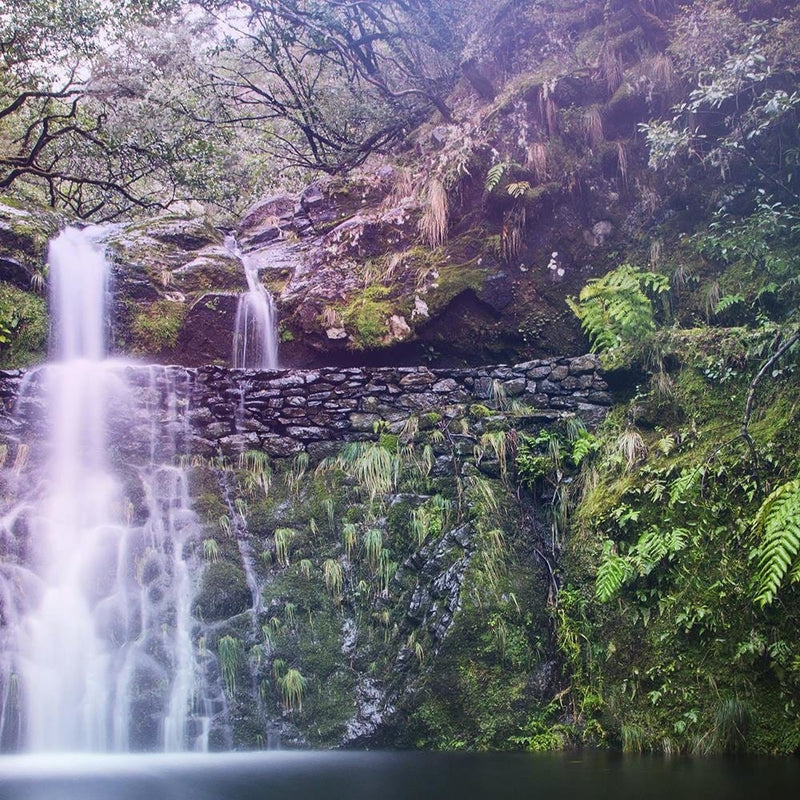 Glezna melnā rāmī - Waterfall In The Forest  Home Trends