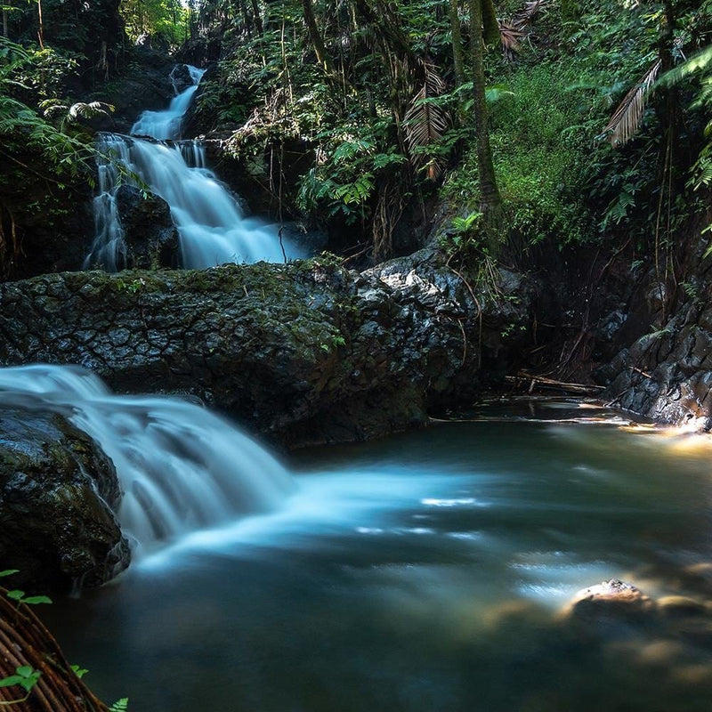 Glezna melnā rāmī - Waterfall In The Tropics  Home Trends