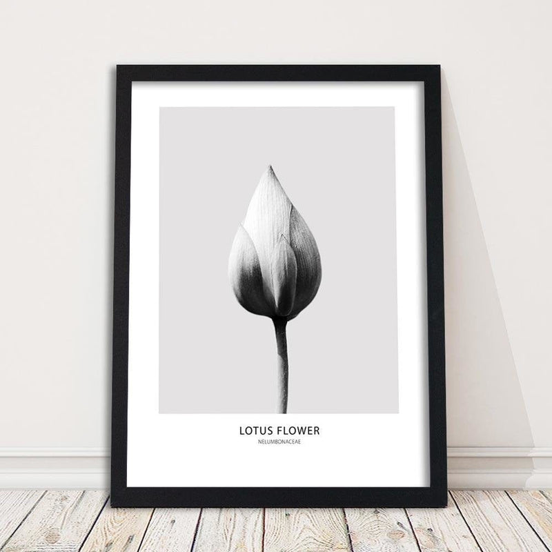 Glezna melnā rāmī - White Lotus Bud  Home Trends