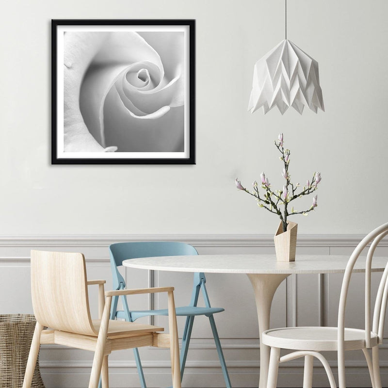 Glezna melnā rāmī - White Rose 3  Home Trends