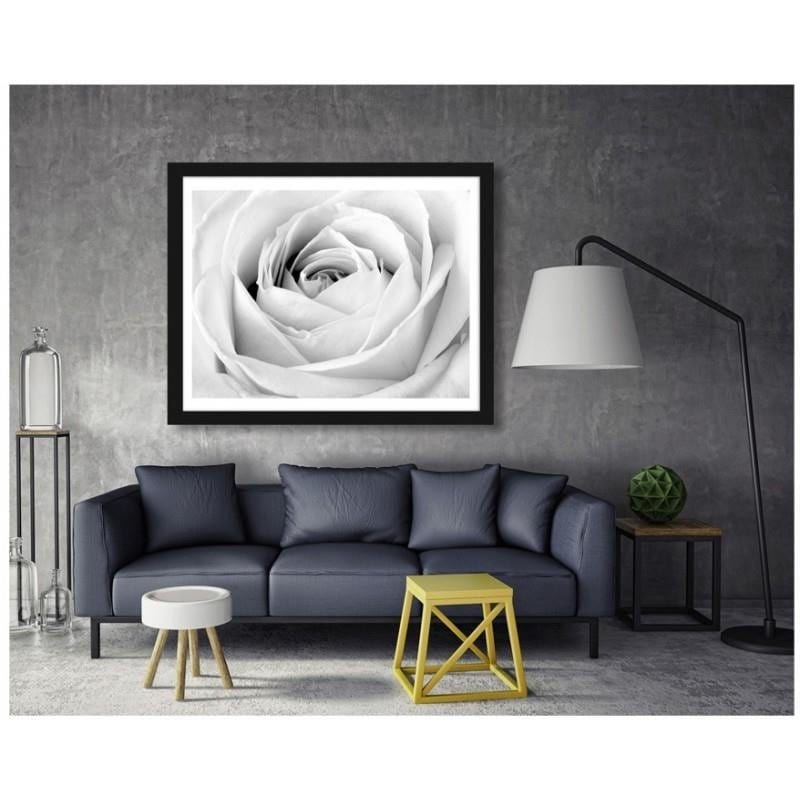 Glezna melnā rāmī - White rose  Home Trends