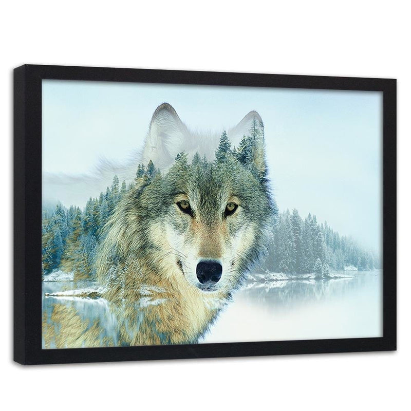 Glezna melnā rāmī - Wild Wolf  Home Trends